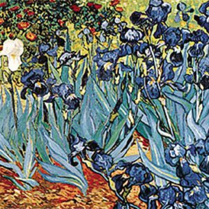van gogh irises painting